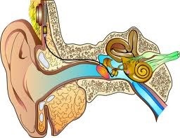 implant oreille moyenne